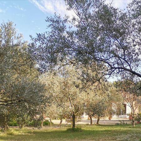 آرْلْ Mas Des Oursons - Chambres D'Hotes المظهر الخارجي الصورة